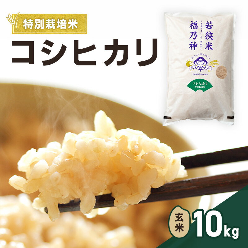 【ふるさと納税】令和7年産 特別栽培米 コシヒカリ 10kg（玄米） 米 お米 こしひかり 若狭町　お届け：2026年4月上旬～7月中旬