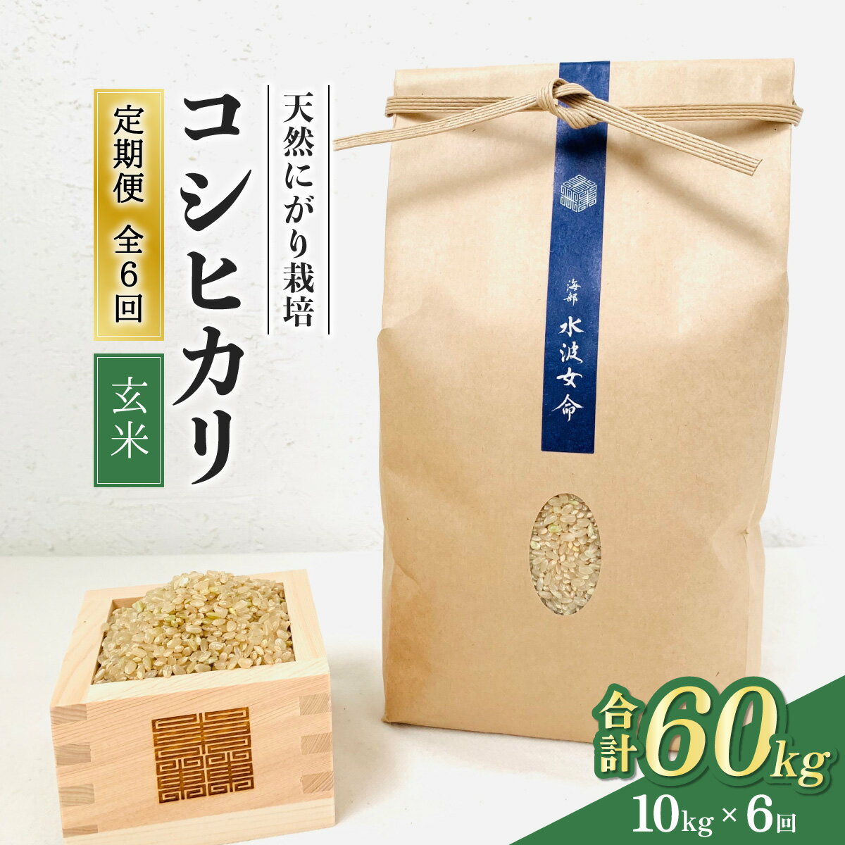 【ふるさと納税】【先行予約】コシヒカリ玄米 【定期便】10kg×6回 60kg 令和8年産 天然にがり栽培 こしひかり【2026年10月以降順次発送】