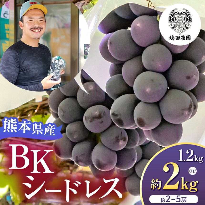 【ふるさと納税】【 先行予約 】選べる内容量 BKシードレス 約1.2kg or 約2kg 熊本県和水町産 | 熊本県 熊本 和水町 くまもと なごみまち なごみ ぶどう ブドウ 葡萄 巨峰 種あり 果物 季節限定 フルーツ 季節の果物 朝摘み 直送