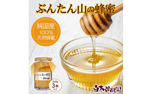 爽やかな香り広がる ぶんたん山の蜂蜜 360g×3本セット 文旦 ぶんたん 土佐 柑橘 高知県産 フルーツ お取り寄せ 贈答 高知県 土佐市【白木果樹園】[BQAI055]