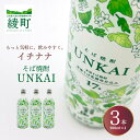 【ふるさと納税】もっと気軽に、飲みやすく。「イチナナ」そば焼酎（3本） UNKAI スッキリ 爽やか そば 雲海 送料無料（02-147）