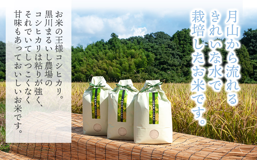 【令和7年産先行予約】 黒川まるいし農場の特別栽培米 コシヒカリ 5kg　山形県鶴岡市産　K-745