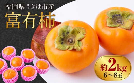 【ふるさと納税】【先行予約】柿 富有柿 カキ かき 旬 フルーツ 果物 甘柿 6玉～8玉 9玉～11玉 12玉～15玉 国産 フルーツ 果実 甘い 旬 秋の味覚 産地直送 ギフト 贈答用 お取り寄せ 送料無料 福岡 返礼品 うきは市 西見柿農園【2026年11月上旬～12月上旬発送予定】