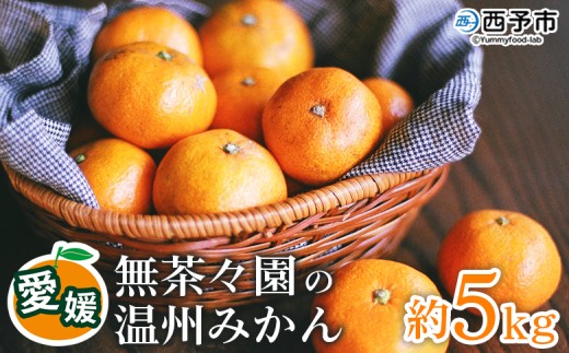 【先行予約】＜無茶々園 温州みかん 約5kg＞ 果物 くだもの ミカン 蜜柑 柑橘 フルーツ うんしゅうみかん 選べる内容量 贈り物 ギフト おいしい 期間限定 季節限定 食べて応援 特産品 愛媛県 西予市 【常温】