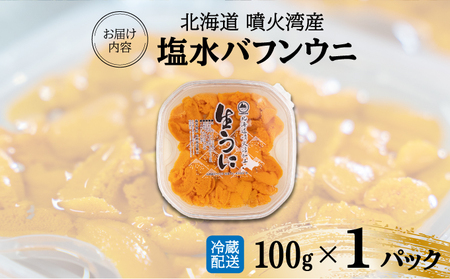 北海道 噴火湾産 塩水 バフンウニ 100g 1パック うに ウニ 雲丹 海鮮 海の幸 魚介類 ウニ丼 お寿司 濃厚 無添加 産地直送 産直 お取り寄せ 山村水産 送料無料