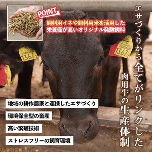 No.1117＜A5等級＞鹿児島県産黒毛和牛すき焼きしゃぶしゃぶ・霜降りスライス(計400g・200g×2P)国産 九州産 牛肉 黒毛和牛 和牛 霜降り A5 A5等級 しゃぶしゃぶ すき焼き 食べ比