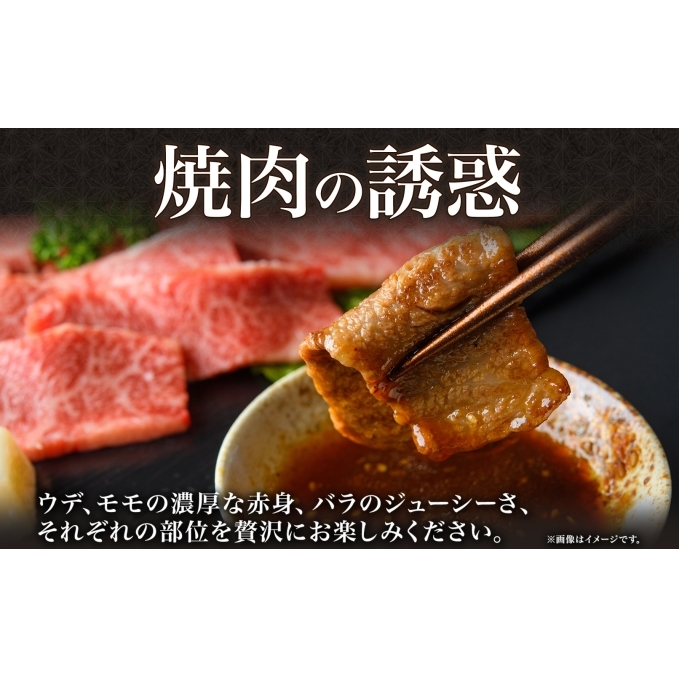 北海道 倶知安町 やまだ黒毛和牛 計400g 焼肉用 ウデ モモ バラ ミックス 200g×2 黒毛和牛 国産牛 お取り寄せ 牛肉 お祝い 和牛 ギフト A4ランク 牛 羊蹄山 送料無料 冷凍 ニセコ