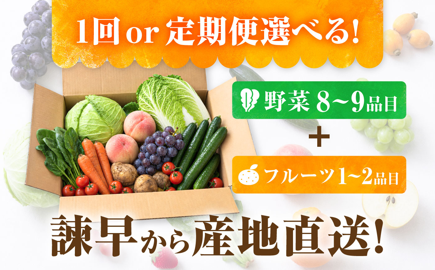 【3回定期便】【産地直送】長崎県諫早産 旬の野菜＆フルーツ詰め合わせ 9～11品目程度 季節のおまかせセット / 野菜 フルーツ 果物 セット 詰め合わせ 旬野菜セット 旬のフルーツ 旬 食べ比べ 産