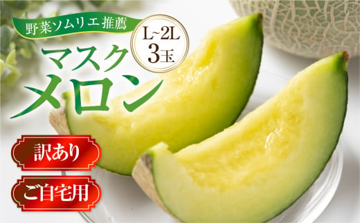 先行予約 訳あり マスクメロン L〜2L 3玉 メロン 野菜ソムリエ推薦 数量限定 渥美半島 伊良湖潮風育ち  田原市 ご自宅用 お取り寄せ 産地直送 送料無料 12000円