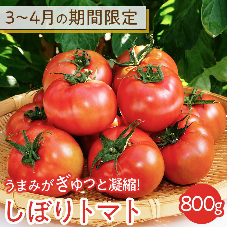 【ふるさと納税】3〜4月の期間限定　うまみがぎゅっと凝縮！しぼりトマト 800g 《2027年3月上旬-4月末頃出荷予定》