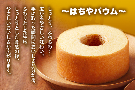 はちやバウムセット(M)｜はちや バウムクーヘン ろっくバウム スイーツ 洋菓子 焼き菓子 バームクーヘン ギフト HACHIYA バウムクーヘン工房はちや 鬼怒川温泉 日光市 [0583]