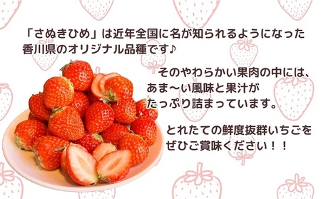 【2027年1月中旬より順次発送】秀品！さぬきひめ　4パック（１パック約250ｇ×4パック） 果物 フルーツ 国産 日本産 いちご 香川県オリジナル品種 やわらかい 果汁たっぷり とれたて 鮮度抜群 