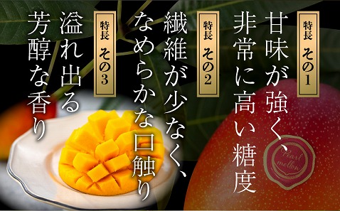 【先行予約】《2025年発送》期間・数量限定 宮崎県産 希少種マンゴー (極)パルメロ 650g以上 糖度20度以上 1玉入り