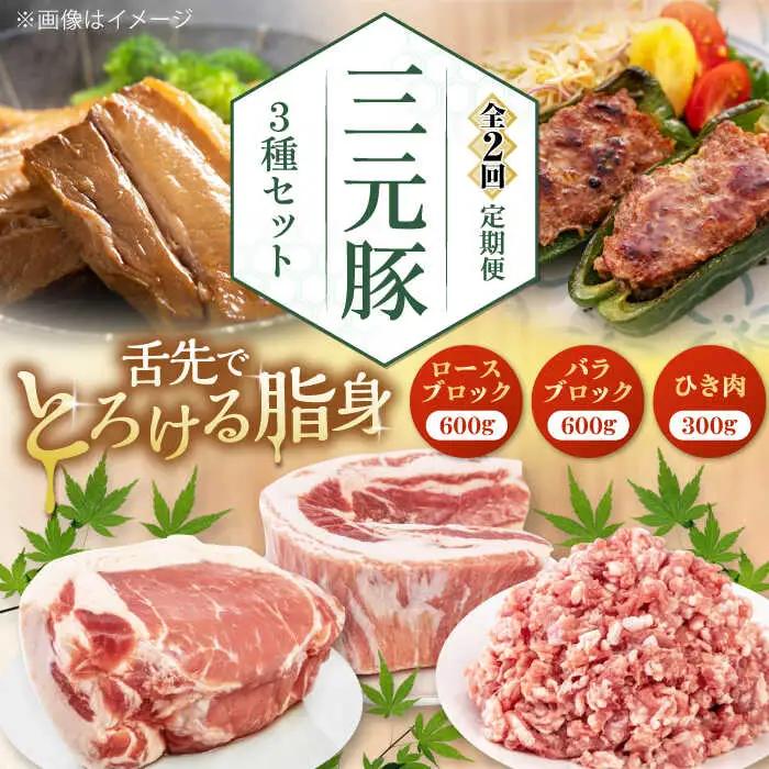 【全2回定期便】 3種 セット 豚肉セット AJAP046