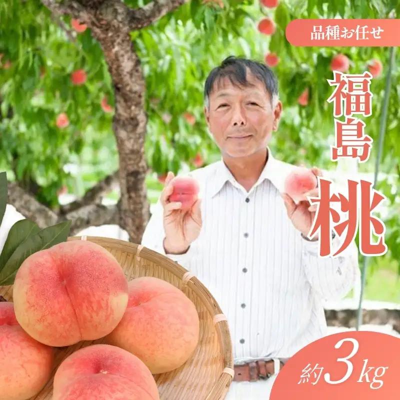No.2406福島 桃　約3kg【2026年発送】