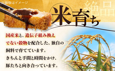 【全2回定期便】三元豚 ロースステーキ 8枚（100g/枚）  藻塩ナシ 《喜茂別町》【平田牧場】肉 豚肉 ロース ステーキ ステーキ用 とんかつ トンテキ 生姜焼き 冷蔵配送[AJAP090]