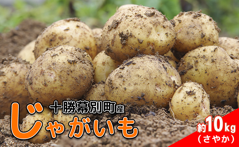 北海道 十勝 幕別産 じゃがいも さやか 約10kg 【横山農園】 野菜 根菜 食材 しっとり 崩れにくい 煮込み料理 炒め物 肉じゃが カレー シチュー 北海道のジャガイモ