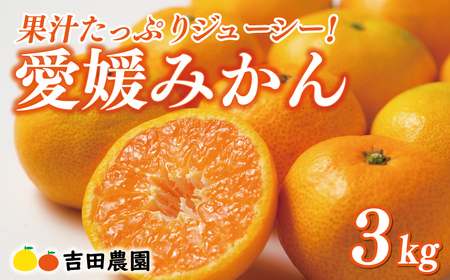【愛媛みかん】 3kg みかん