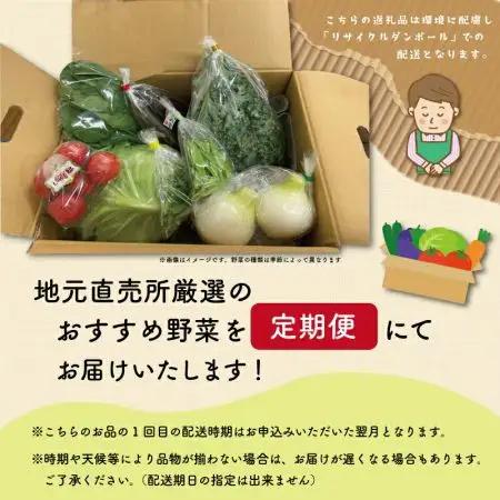 野菜定期便【3ヶ月連続】定期便 旬の野菜詰め合わせ 6～7品以上 ja1