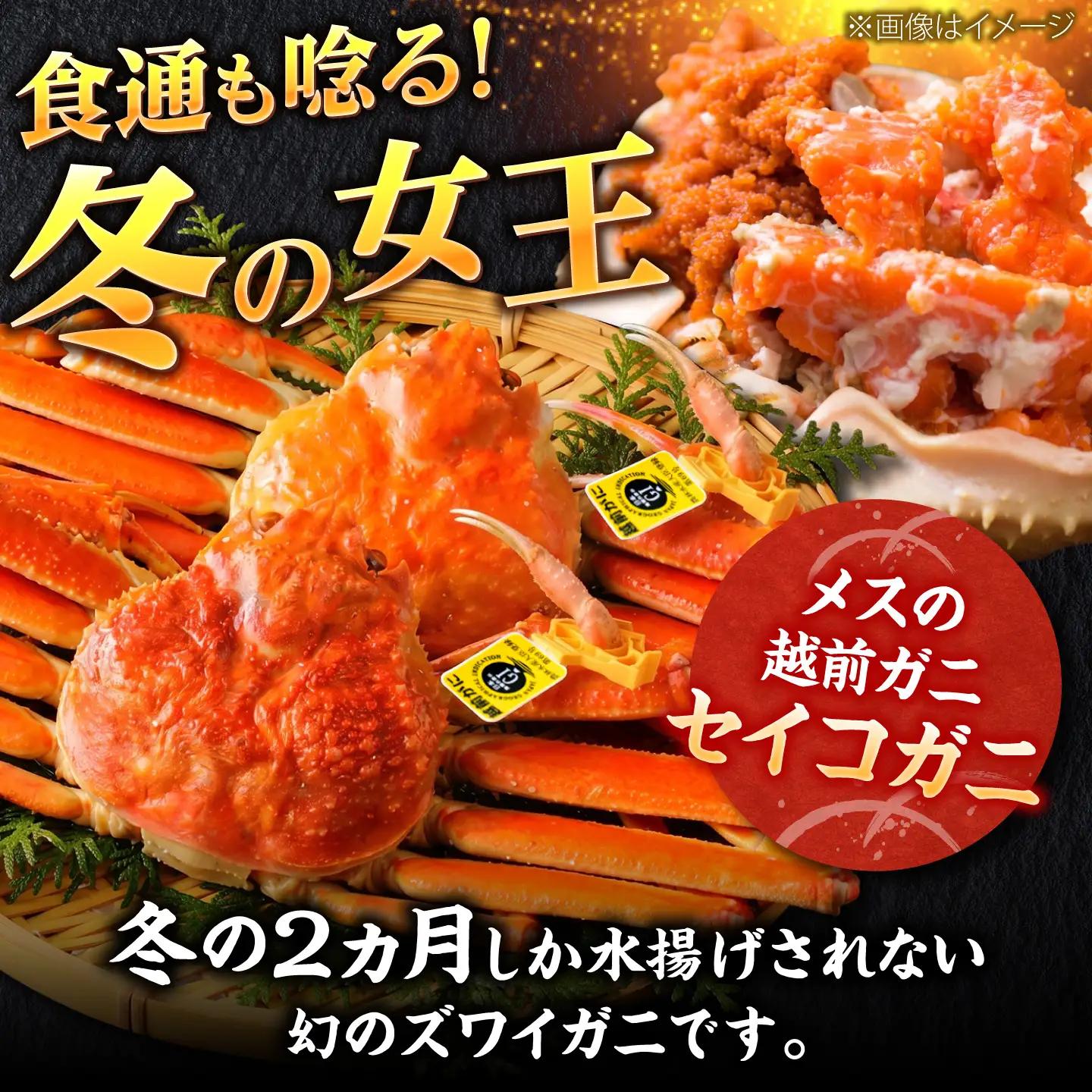 【先行予約/11月7日より順次発送】セイコガニ（ズワイガニのメス）中サイズ 5ハイ / かに ボイル セイコガニ 小浜市 / まるほ商店 [BFCS015]【配送不可:北海道・沖縄・離島】