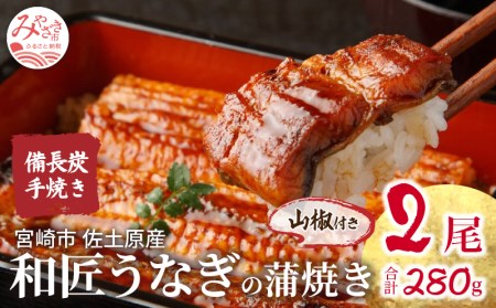 蒲焼き 国産 備長炭手焼き 和匠うなぎの蒲焼き 2尾セット (たれ・山椒付き)  うなぎ 鰻 ウナギ うなぎ蒲焼き 鰻蒲焼 鰻の蒲焼 うなぎの蒲焼 2尾 丑の日 湯煎 ボイル 冷凍 パック 真空パック 惣菜 お惣菜 うな重 うな丼 グルメ ギフト