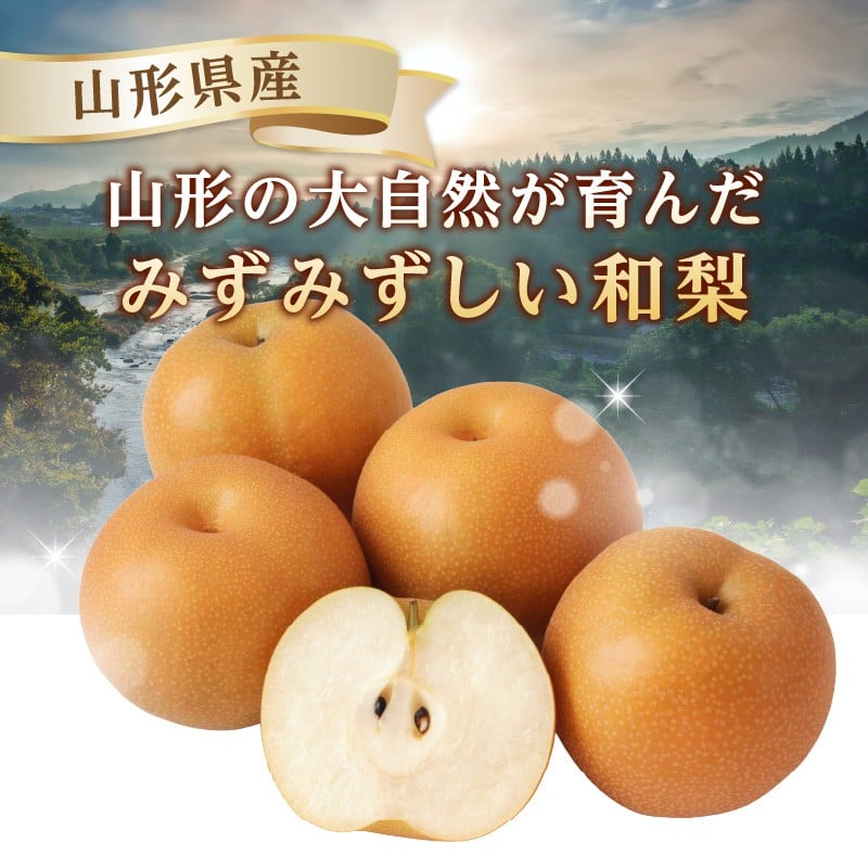 《先行受付》★山形産和梨（品種お任せ）★約3kg(6～12玉程度)秀品【2026年9月頃～順次発送予定】
