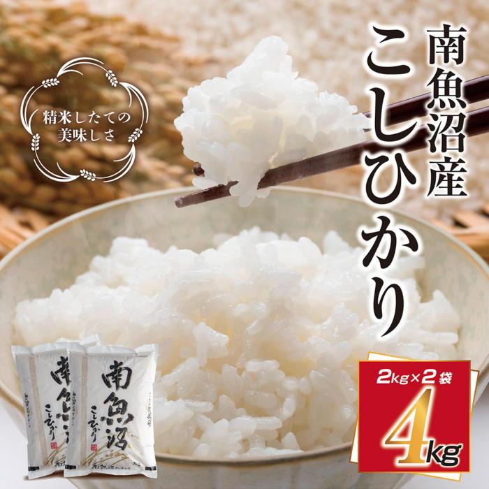 【ふるさと納税】新潟県 南魚沼産 コシヒカリ こしひかり お米 2kg ×2個 計4kg 精米 魚沼 米 炊き方ガイド付き | お米 こめ 白米 コシヒカリ 食品 人気 おすすめ 送料無料 魚沼 南魚沼 南魚沼市 新潟県産 新潟県 精米 産直 産地直送 お取り寄せ