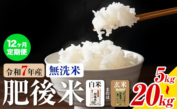 
                  【12ヶ月定期便】熊本県産 肥後米 無洗米 白米 玄米 5kg/10kg/20kg 選べる内容量 1袋5kg 米 お米 令和7年産 九州産 熊本県産 送料無料《お申込み翌月に出荷予定》玄米 無洗米 白米 米
                