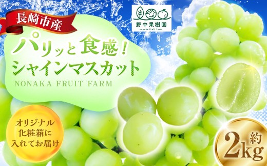 シャインマスカット 約2kg （3～4房） 【2026年8月上旬～下旬発送予定】 ぶどう 甘み くだもの 果物 果実 フルーツ 葡萄 ブドウ マスカット 香り 酸味 果汁 果樹園