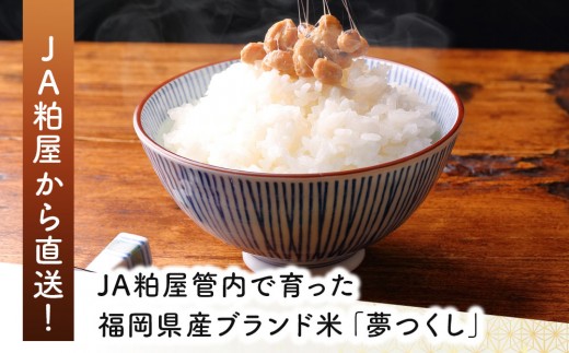 令和7年産 かすやそだち米「夢つくし」精米 5kg｜福岡県産 ブランド米 白米 お取り寄せ ごはん 人気 高評価 九州米【KN001】