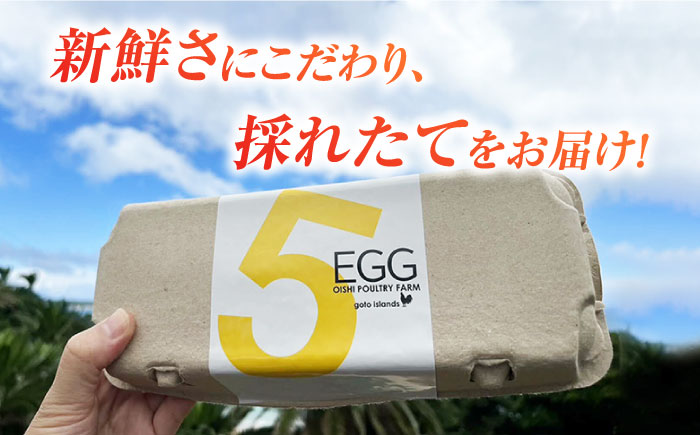 【ギフトBOX】平飼たまご ファイブエッグ M〜Lサイズ 20個入 / 5EGG 卵 赤玉子五島市 / 五島列島大石養鶏場 [PFQ008]