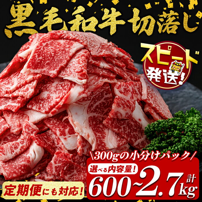 【ふるさと納税】【10営業日以内に発送】【内容量が選べる】国産 黒毛和牛 切り落とし(計600g～2.7kg 1pあたり300g) 牛肉 牛 切り落とし 切落し 小間切れ 小分け 真空パック 牛丼 カレー 肉じゃが 真空パック 黒毛和牛 家計応援 定期便 すぐ届く 短納期 【サンキョーミート】