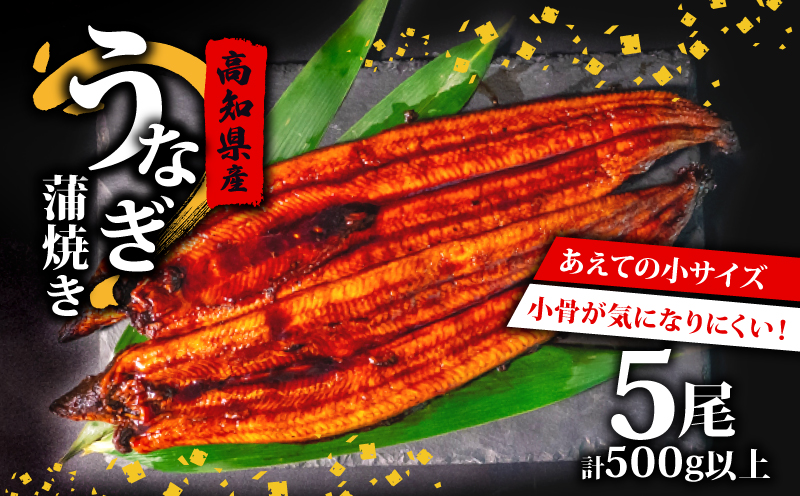 高知県産 うなぎ蒲焼き 100～120g 5尾セット