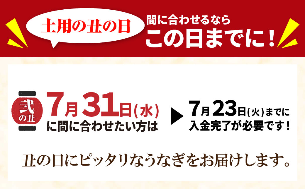 【7/31までにお届け】累計販売数229,673件突破  国産うなぎ蒲焼大サイズ2尾（計330g以上）鰻蒲焼用タレ・山椒付 生産量日本一 鹿児島産 宮崎産 熊本産 国産 有頭 土用の丑の日 贈答 九州