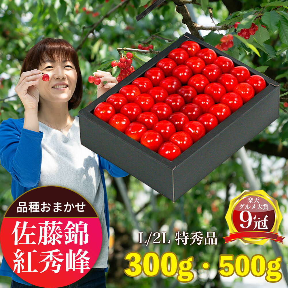 【ふるさと納税】＜ 先行予約 ＞ 山形県産 さくらんぼ （ 佐藤錦 ・ 紅秀峰 ） 特秀品 L 化粧手詰 選べる ( L ・ 2L )( 300g ・ 500g )【2026年6月下旬から7月上旬発送】 山形県 果物 フルーツ 高級 初夏 夏 送料無料