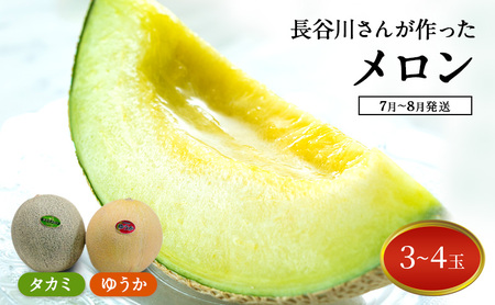 【先行予約】メロン 3～4玉 ゆうか タカミ メロン