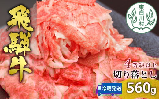 【3月発送】飛騨牛 4等級以上 切り落とし 560g 牛肉 和牛 肉 切落し ブランド牛 4等級 5等級 国産 10000円