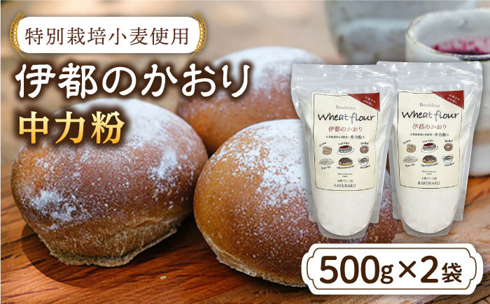 
                  特別 栽培 小麦 使用「 伊都のかおり 」 500g × 2袋 《糸島》【天然パン工房楽楽】 【いとしまごころ】[AVC052]
                