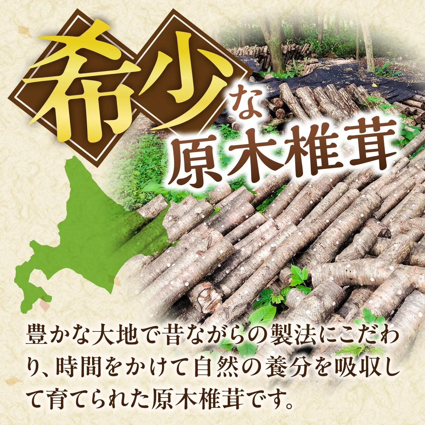 原木椎茸 生･乾燥 詰め合わせセット 椎茸 しいたけ [BNAU001]