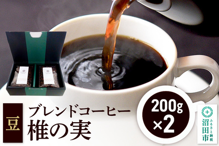 ブレンドコーヒー 豆「椎の実」200g×2袋 土田商店