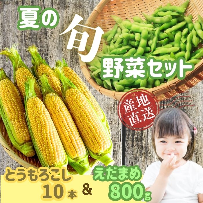 【ふるさと納税】【先行予約】木内ファーム 夏の旬野菜（とうもろこし・枝豆）セット＜出荷開始：2025年7月下旬～2025年8月下旬ごろまで＞【野菜 長野県 飯山市 美味しい おいしい お取り寄せ 季節限定品 枝豆 えだまめ とうもろこし トウモロコシ ゴールドラッシュ セット】