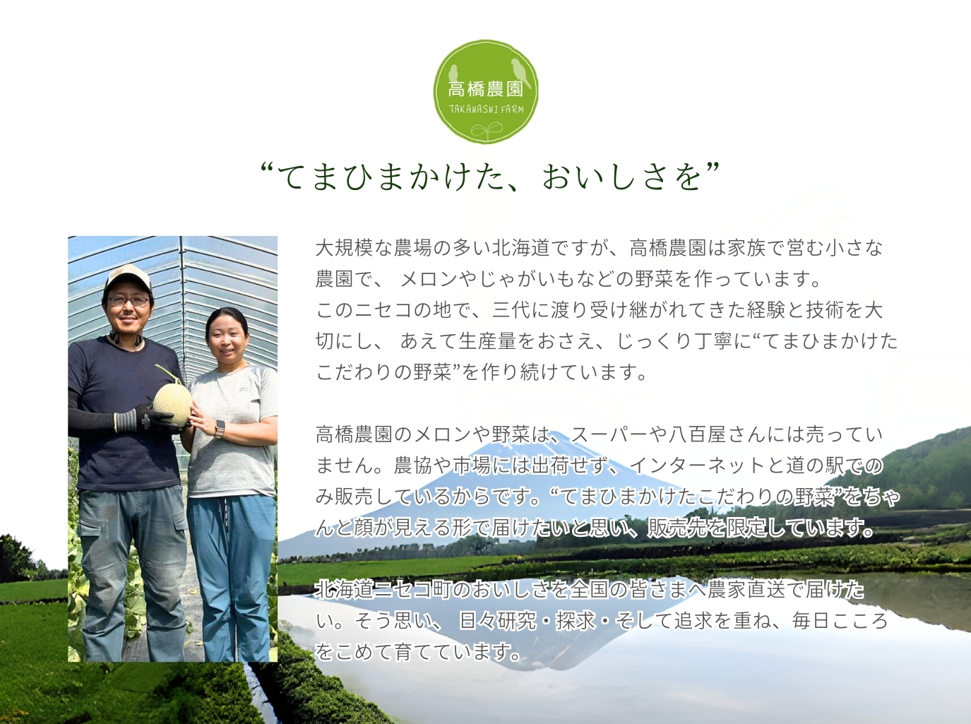 《2024年分受付中》甘くてほくほく!北海道ニセコ名産「キタアカリ」新じゃが10kg/高橋農園【37005】