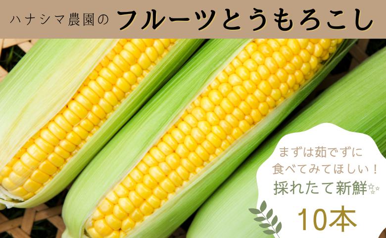 
                  生で食べれるほどの新鮮さと甘さ！フルーツとうもろこし【10本入箱】
                