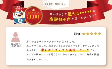 （4月発送分）黒毛和牛 サイコロステーキ 500g 小分け ( ステーキ 牛ステーキ 牛肉ステーキ 角ステーキ 道産ステーキ ステーキ ギフト ステーキ 贈答用ステーキ BBQステーキ 人気  ふるさ