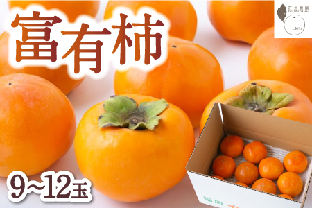 石井農園 富有柿 9玉から12玉 2024年11月15日から12月8日 出荷予定