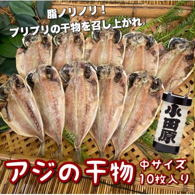 ふるさと納税 小田原市 鯵の干物 中サイズ 10枚セット 程よいサイズで朝食にも夕食にも使いやすい!【神奈川県小田原市早川】
