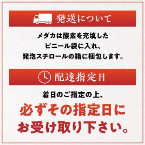 138-4　舞めだか生産 特選 『久遠七星』オス・メス 1ペア