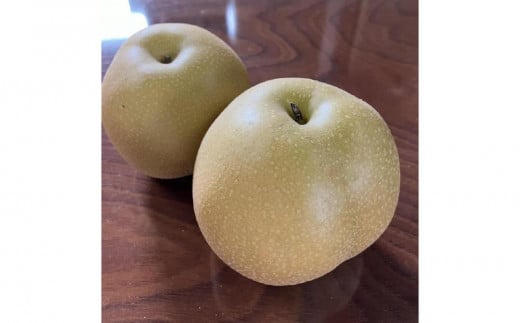 
            『令和8年産先行受付』　山形県産和梨　6玉※品種おまかせ　秀品　
          