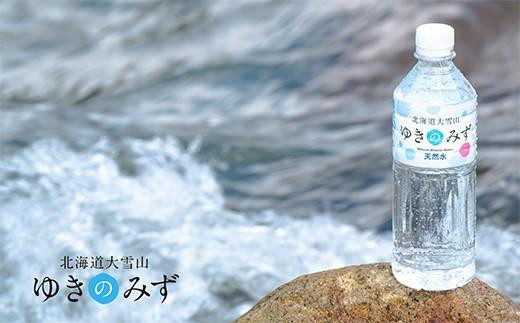 【全3回】【頒布会】北海道大雪山ゆきのみず（550ml×24本入り）1箱＜全3回コース＞