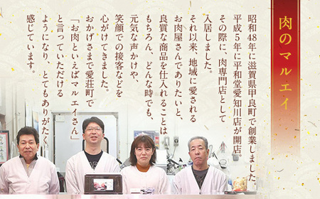 近江牛 サーロイン ヒレ ブロック 1kg 各 500g ブロック肉